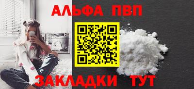 индика Можга