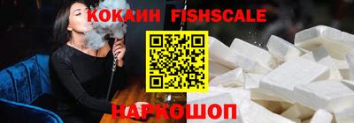 индика Можга