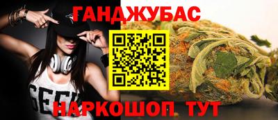 индика Можга