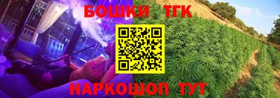 индика Можга