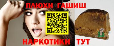индика Можга