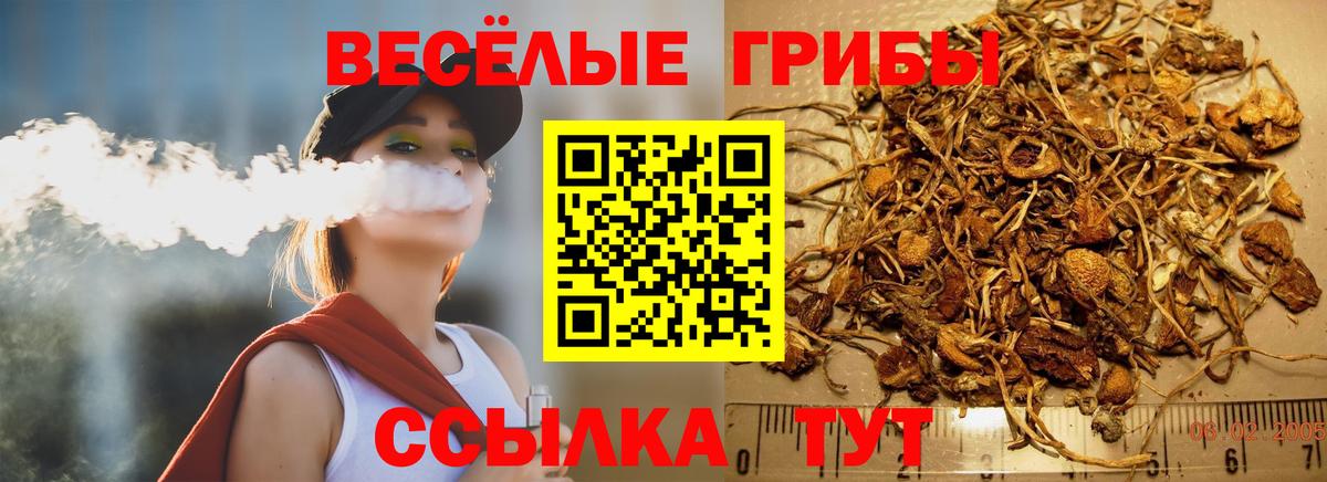 Галлюциногенные грибы ЛСД  Вход с VPN  Сергиев Посад 